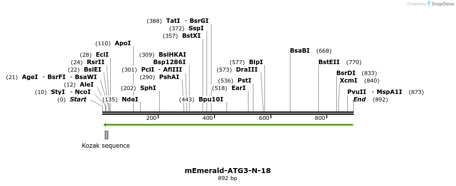 89766_map
