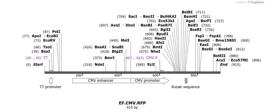 89767_map