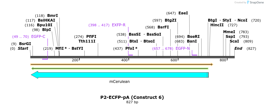 89768_map