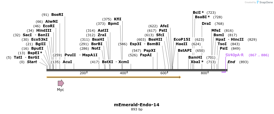89769_map