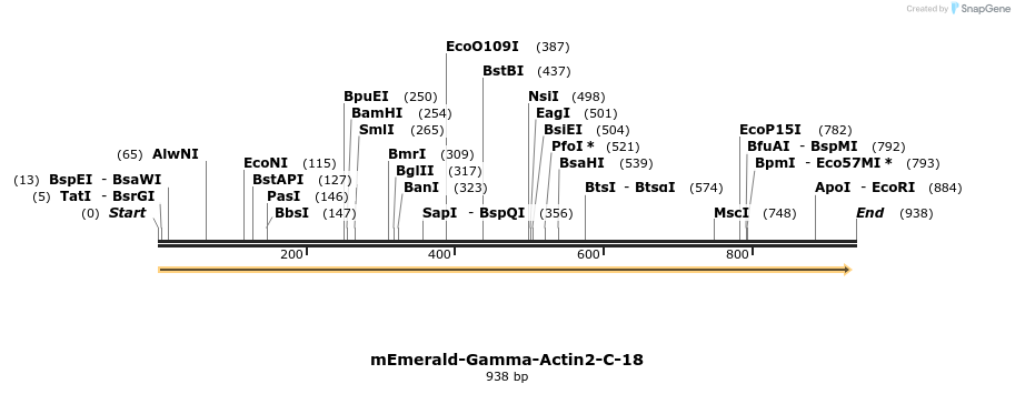 89771_map