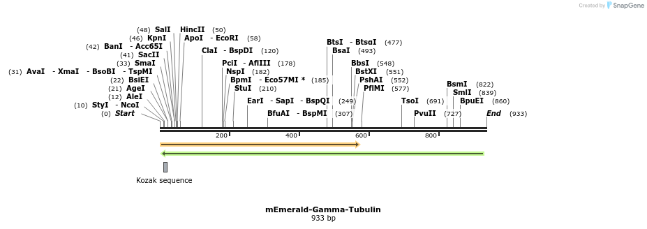 89772_map
