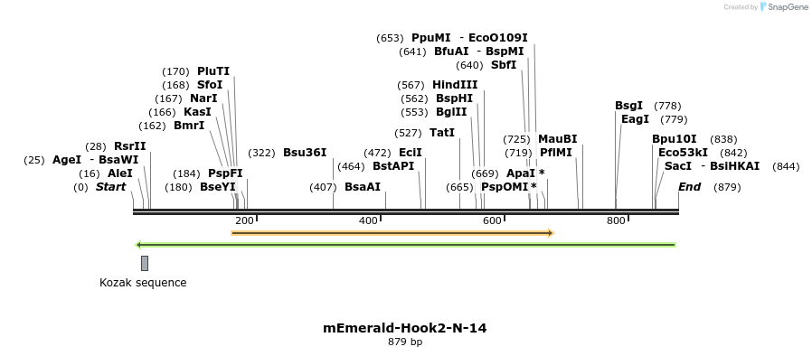 89773_map