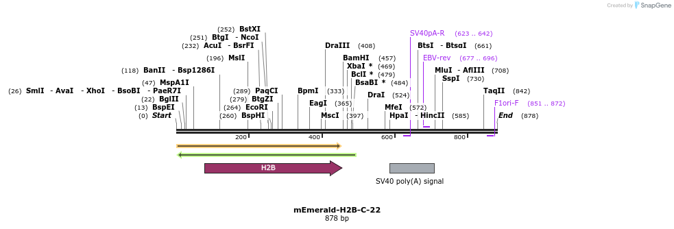 89774_map