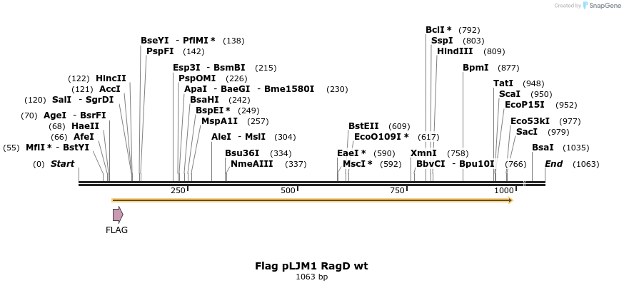 8978_map
