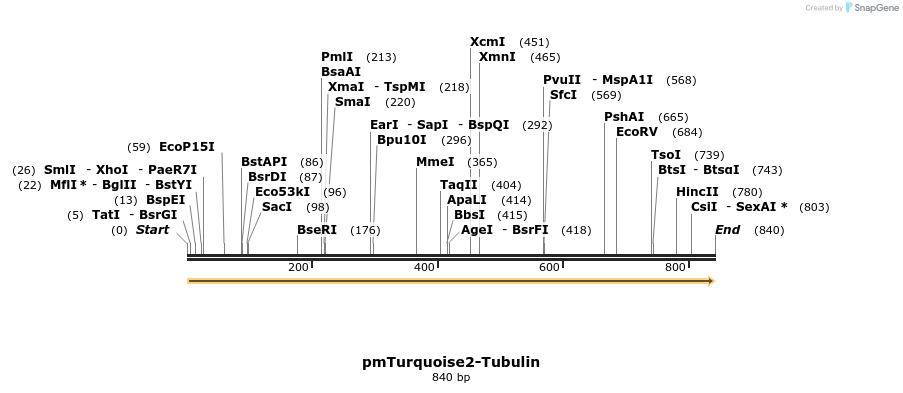89785_map