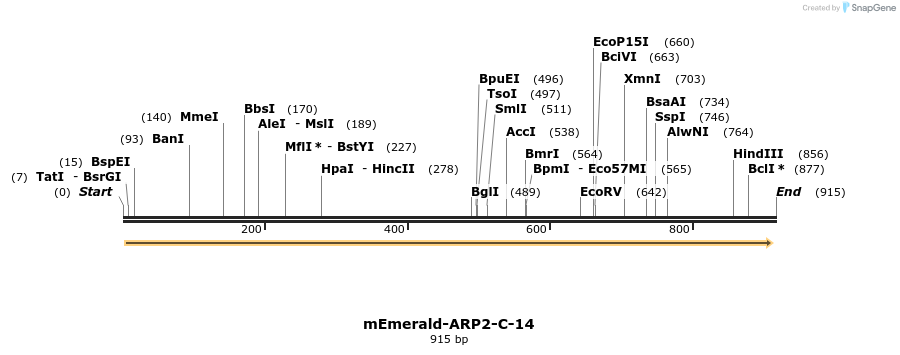 89788_map