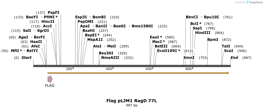 8979_map
