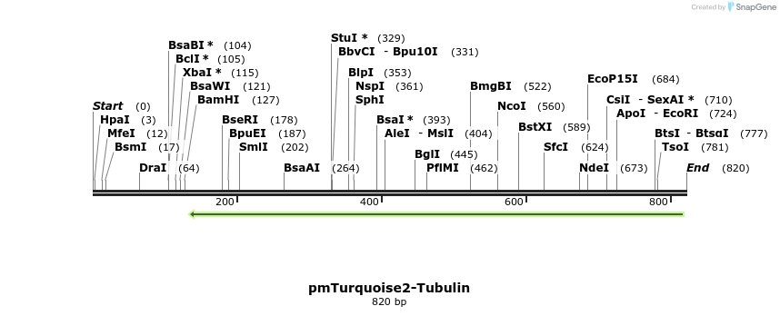 89790_map