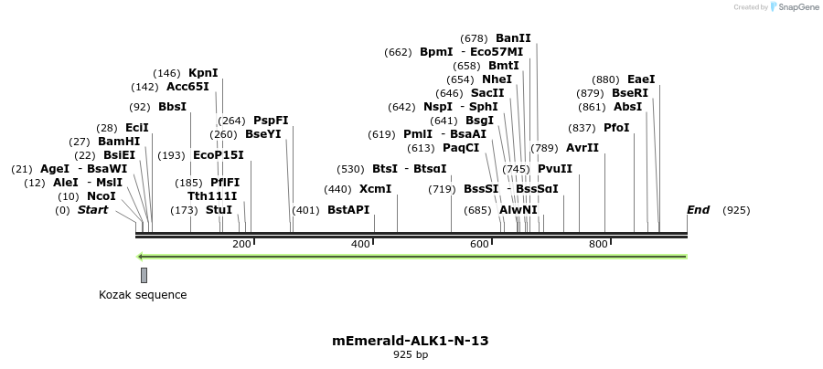 89793_map