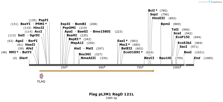 8980_map