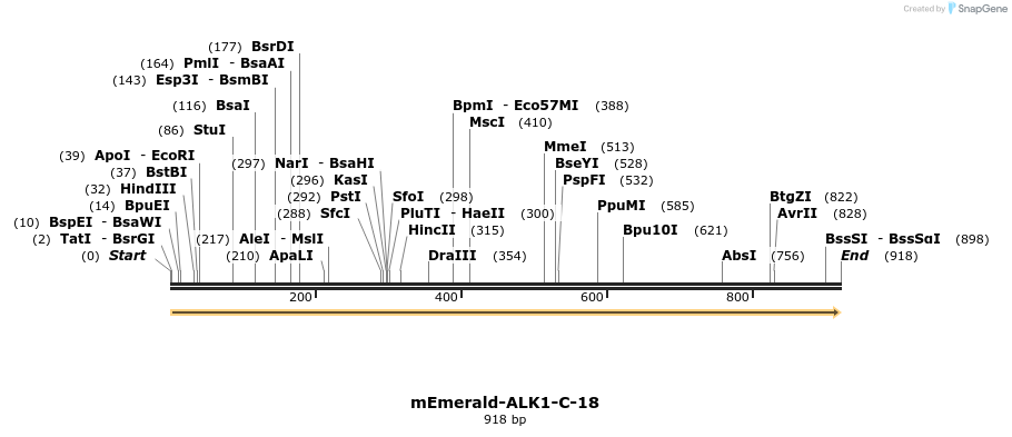 89800_map