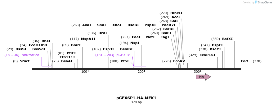 89802_map
