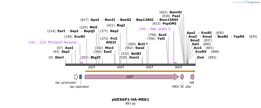89803_map