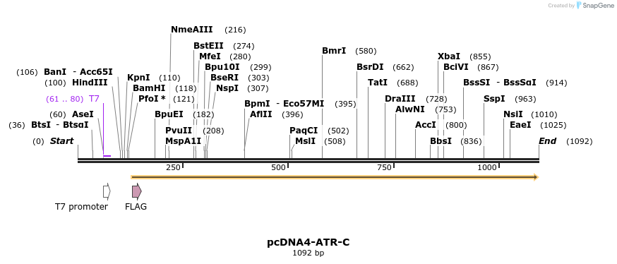 89804_map