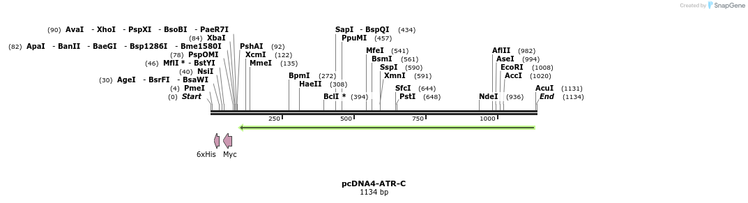 89805_map