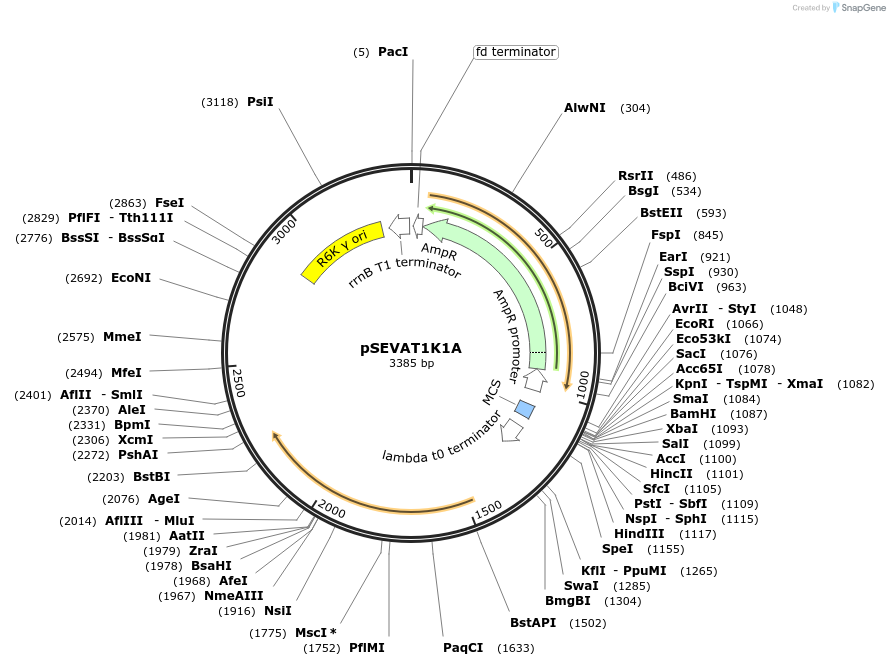 89809_map