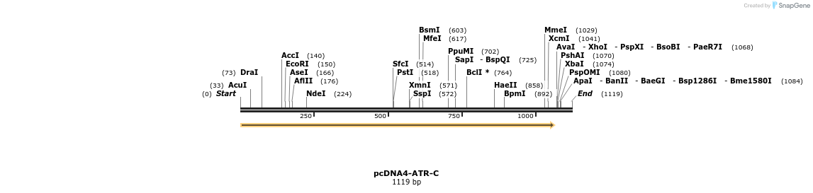 89812_map