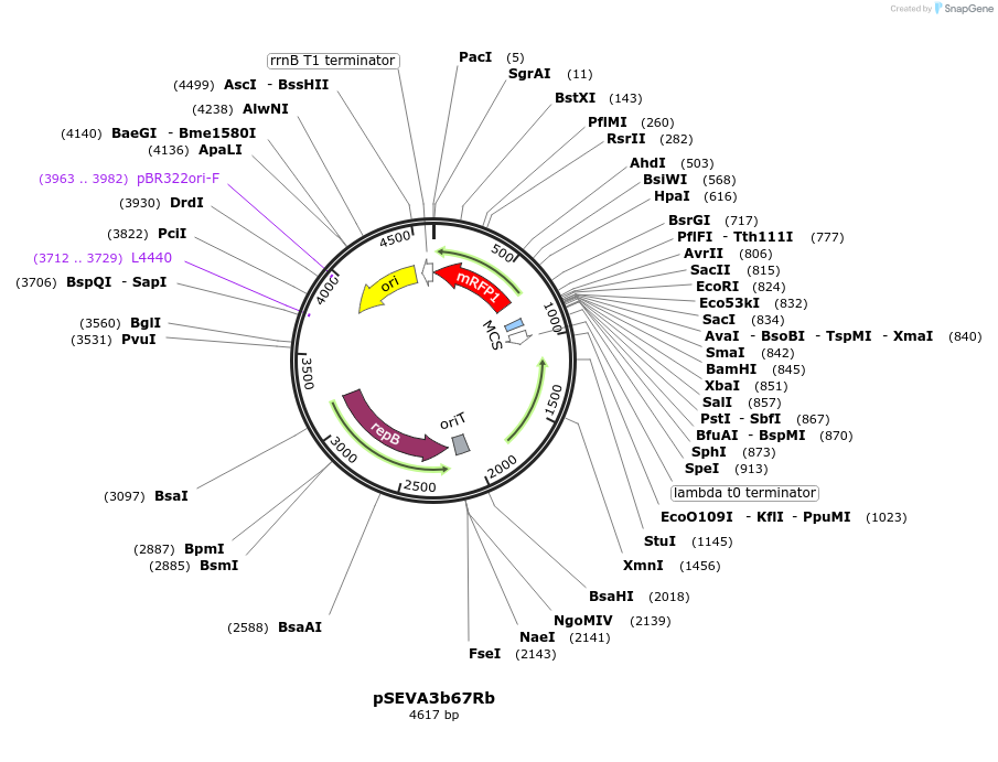 89824_map