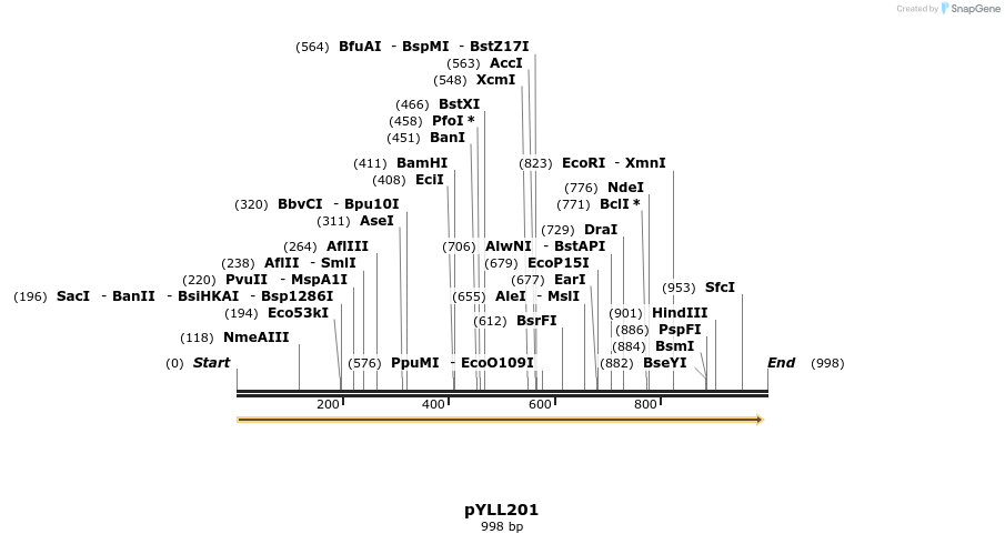 89827_map