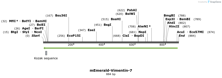 89831_map