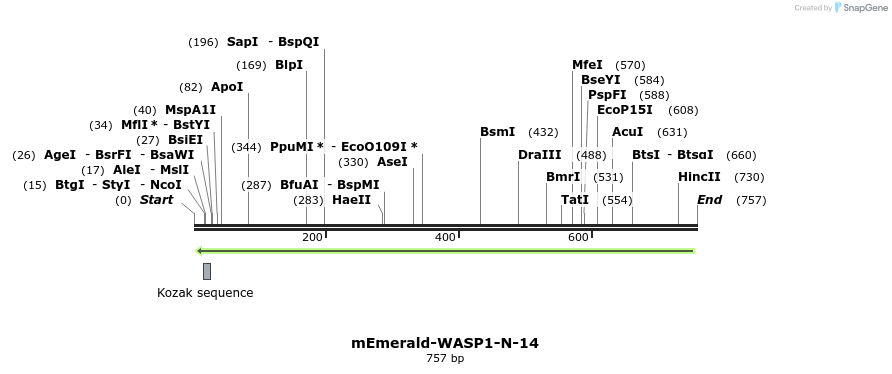 89832_map