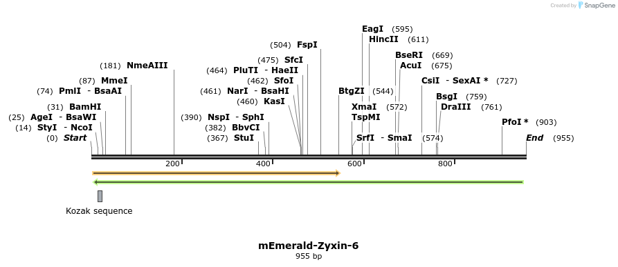 89835_map