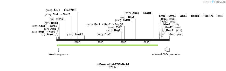 89836_map