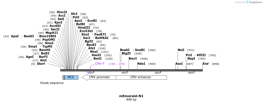 89837_map