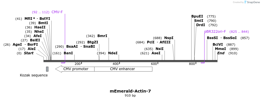 89838_map