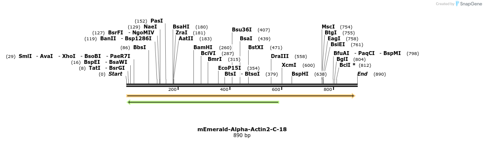 89840_map