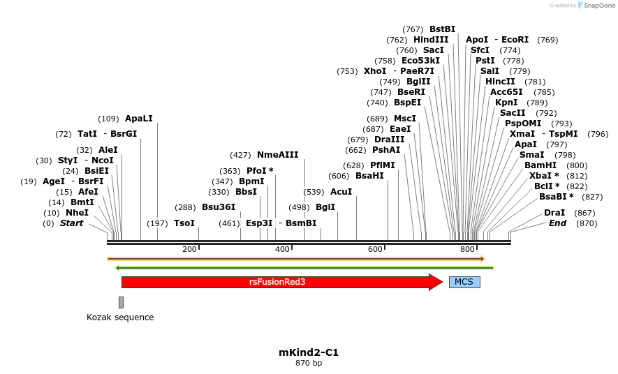89842_map