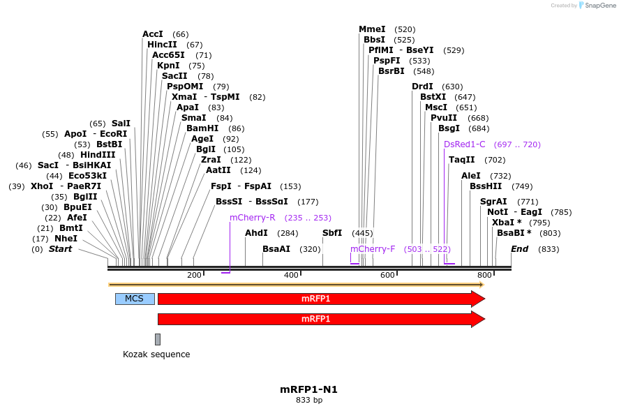89845_map