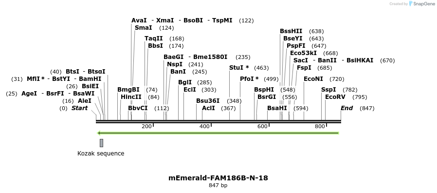 89850_map