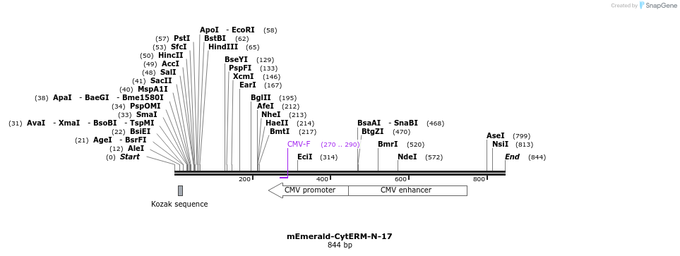 89854_map