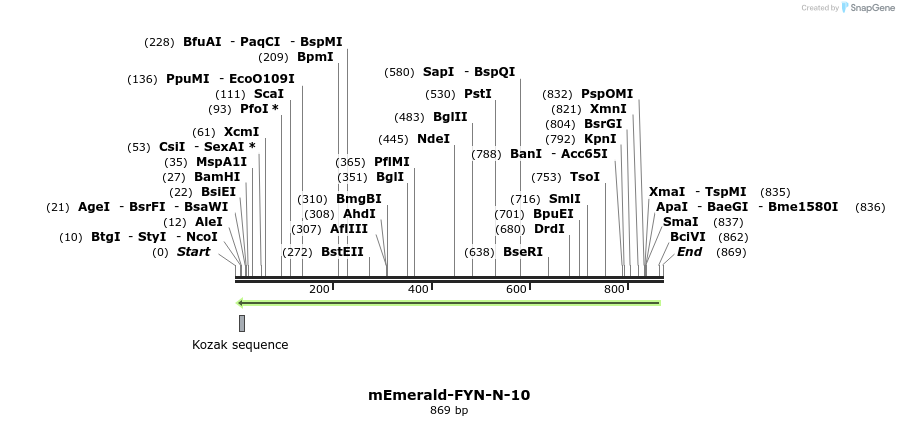 89855_map