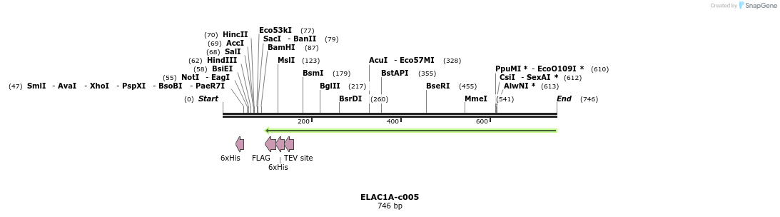 89863_map