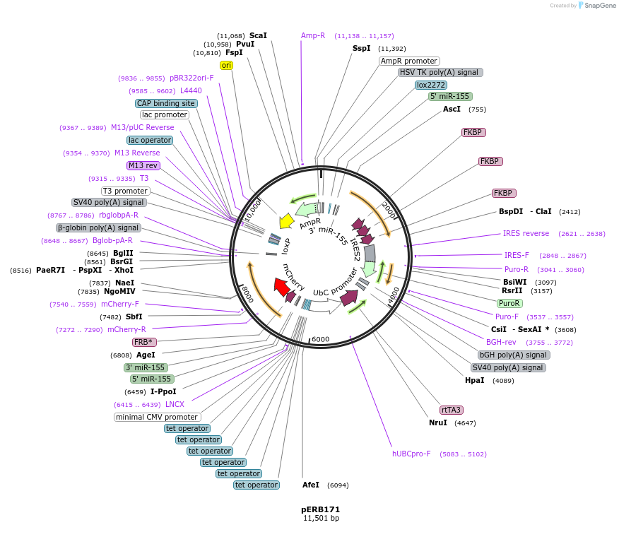 89866_map