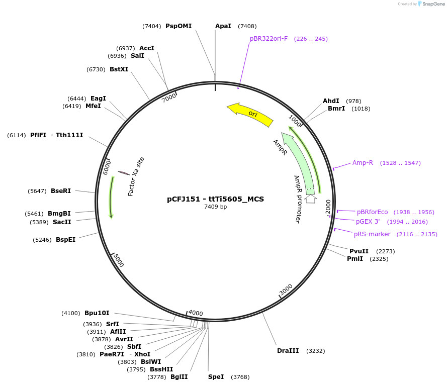 8987_map
