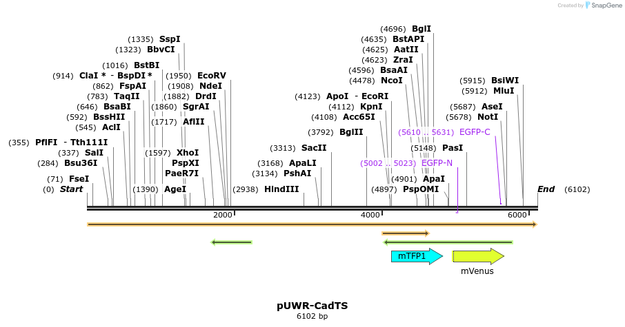 89870_map