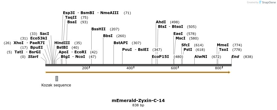89871_map