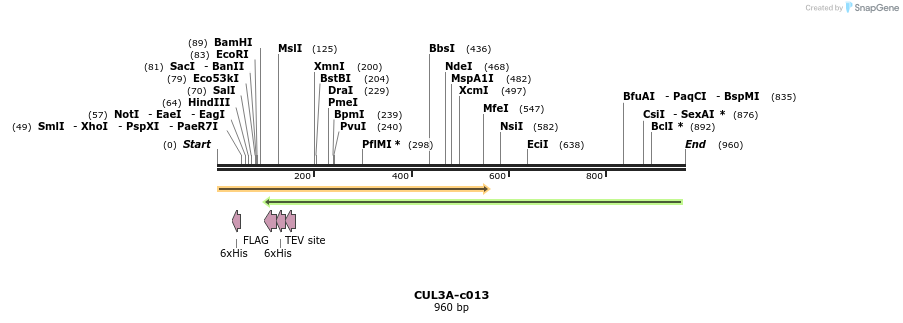 89874_map