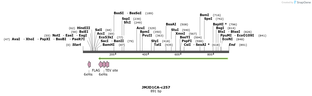 89876_map