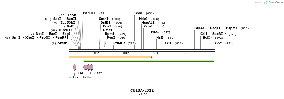 89877_map