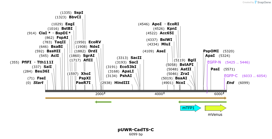 89880_map