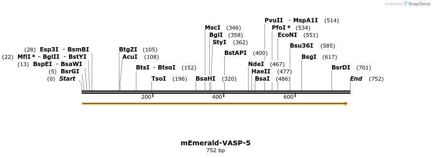 89881_map
