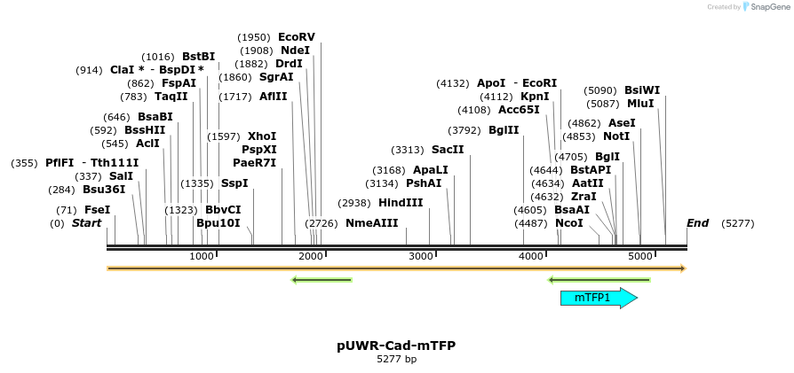 89882_map