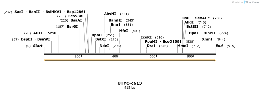 89883_map