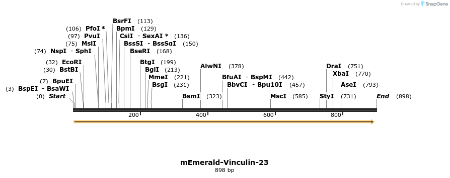 89886_map