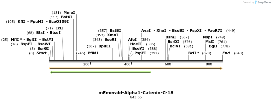89888_map